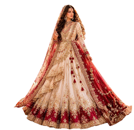 Silver Dabka Walima Gown